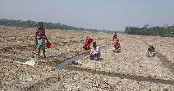 image-here